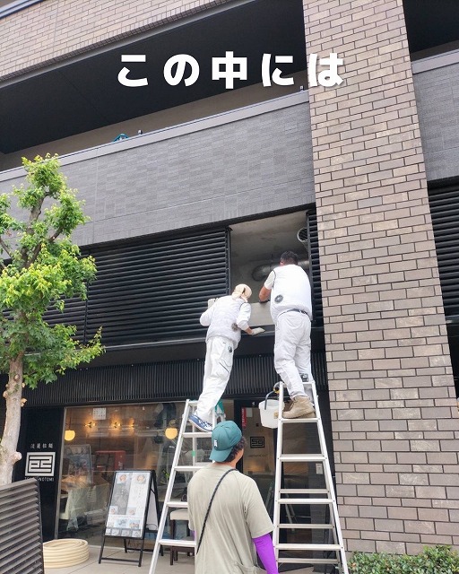 端麗拉麺 己巳 写真4