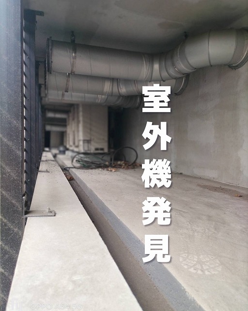 端麗拉麺 己巳 写真5
